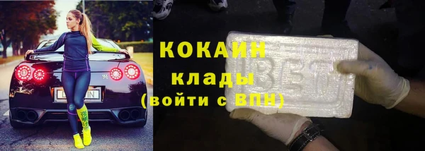 стаф Алексин