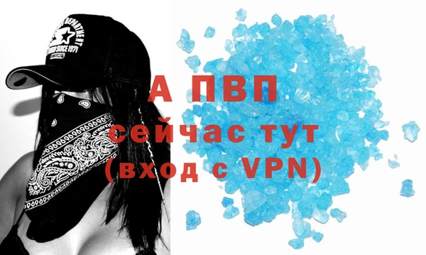 стаф Алексин