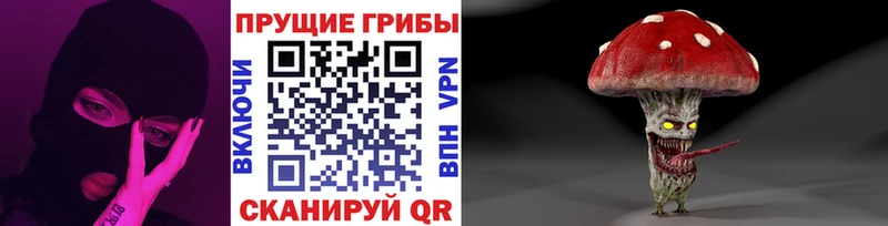 МЕГА как зайти  Кологрив  Псилоцибиновые грибы Psilocybine cubensis 